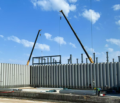 Ecosystem Restoration