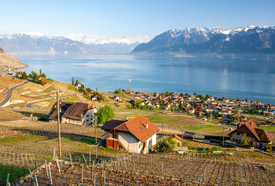 Villages & Townships