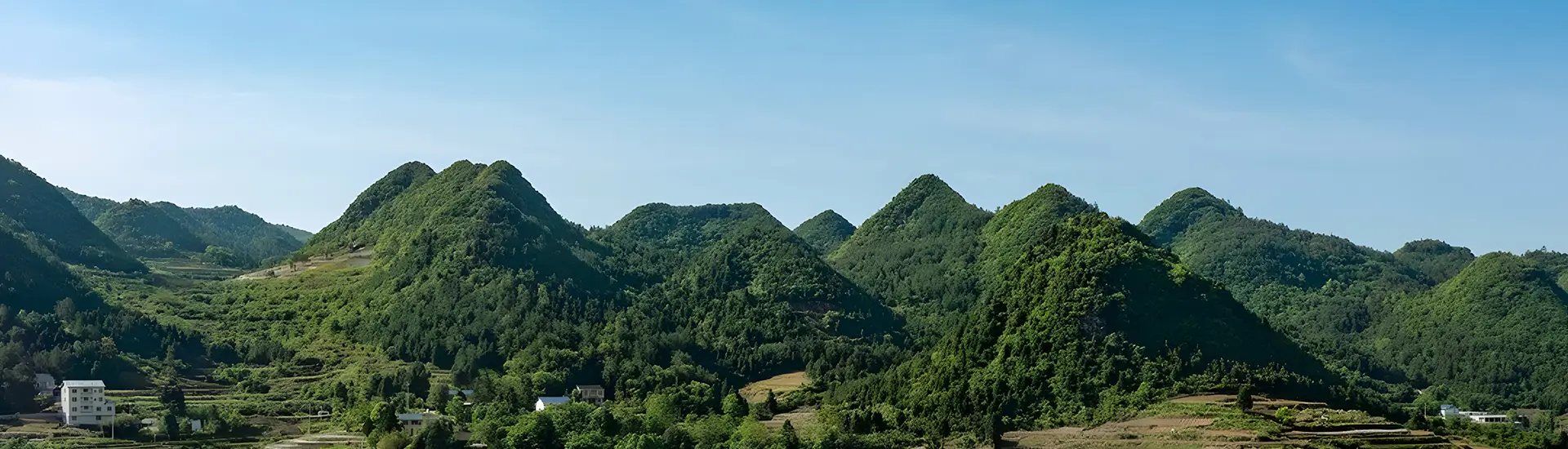行业方案